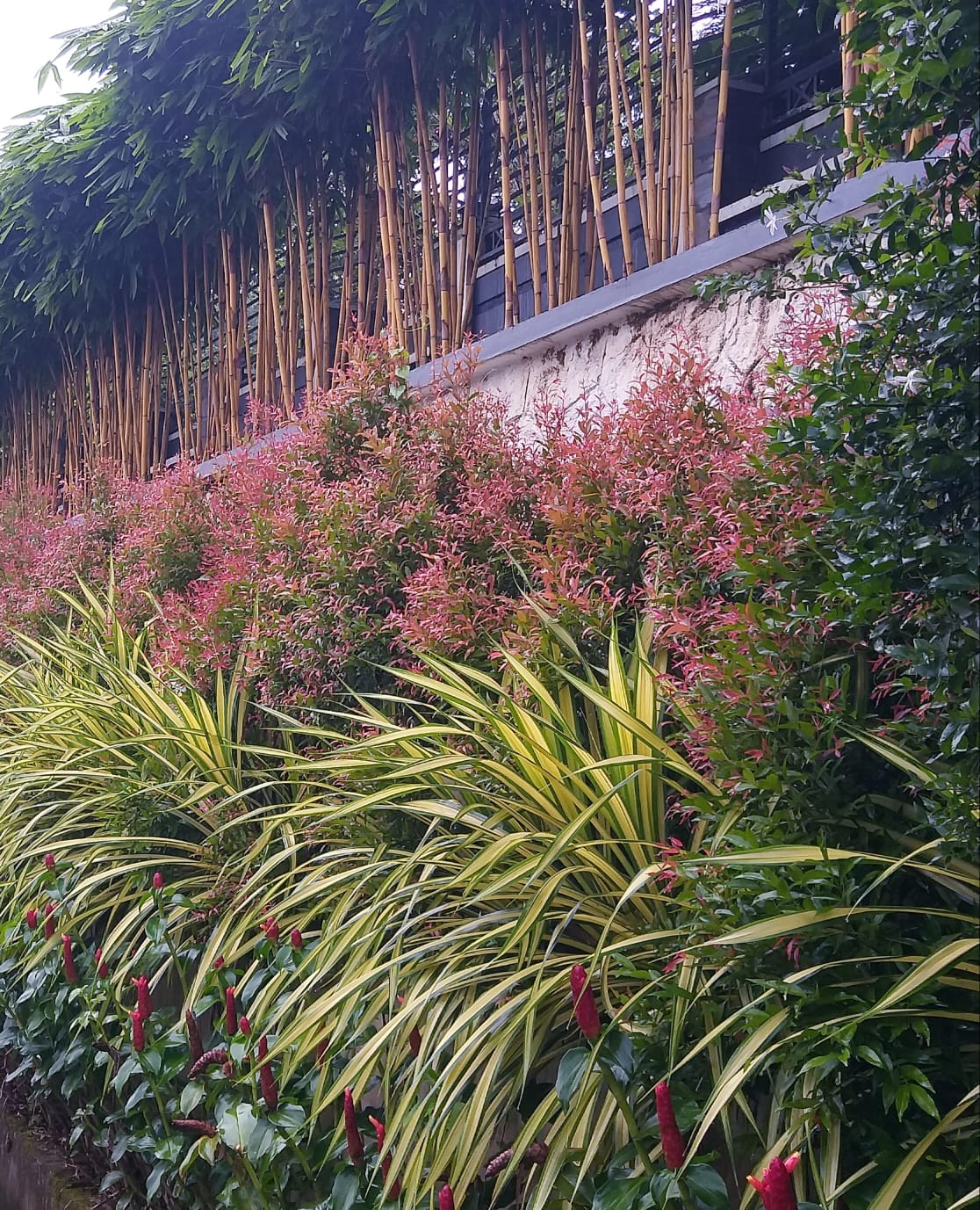 5dfa51ea-f482-4be2-b5e3-681e99694be1