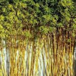 74dfca51-1320-4014-9dff-464947899edf